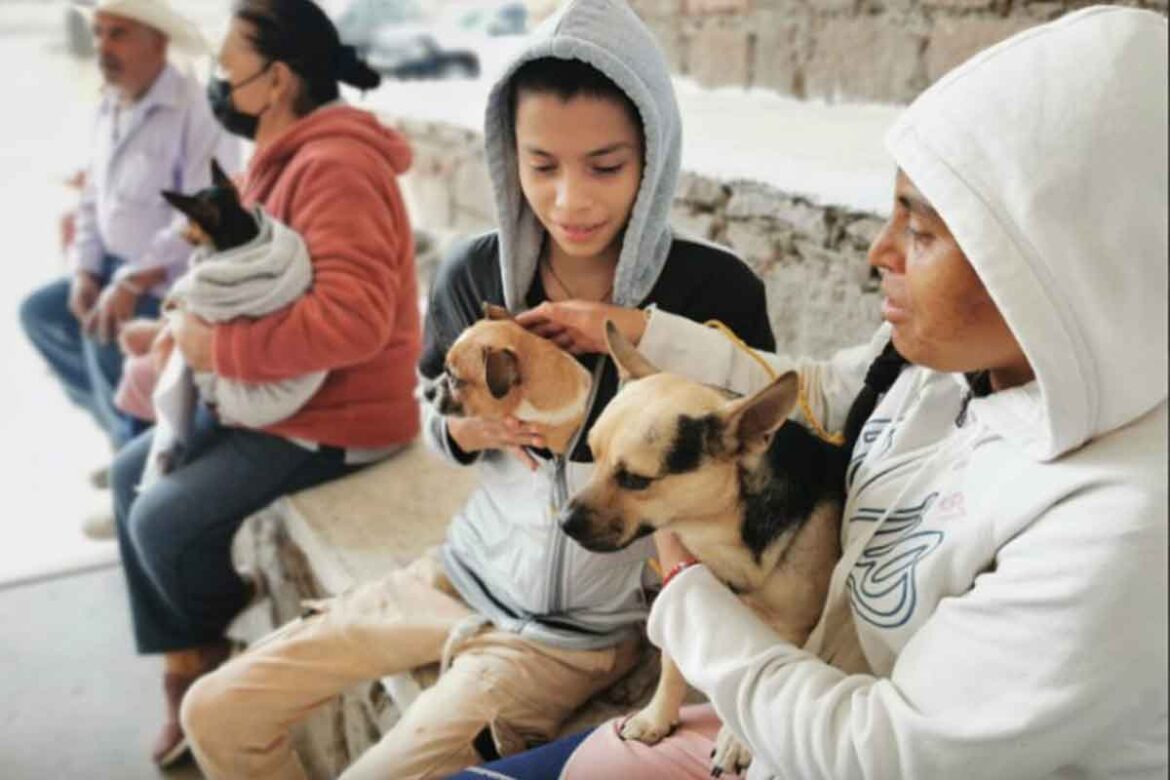 Corregidora invita a no obsequiar mascotas