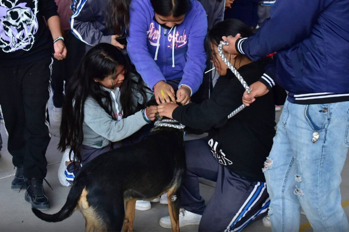 En Corregidora, fomentan el cuidado a los animales