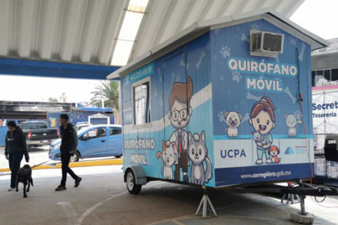 En Corregidora, vigente campaña de esterilización de mascotas