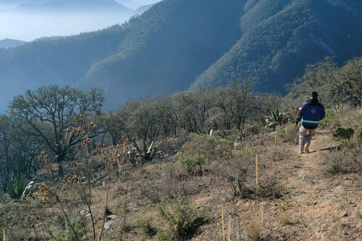 En Cadereyta, controlado incendio forestal