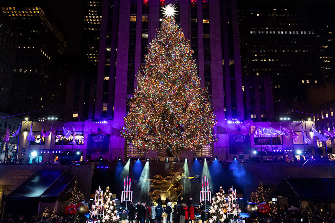 Conoce los árboles de Navidad más populares