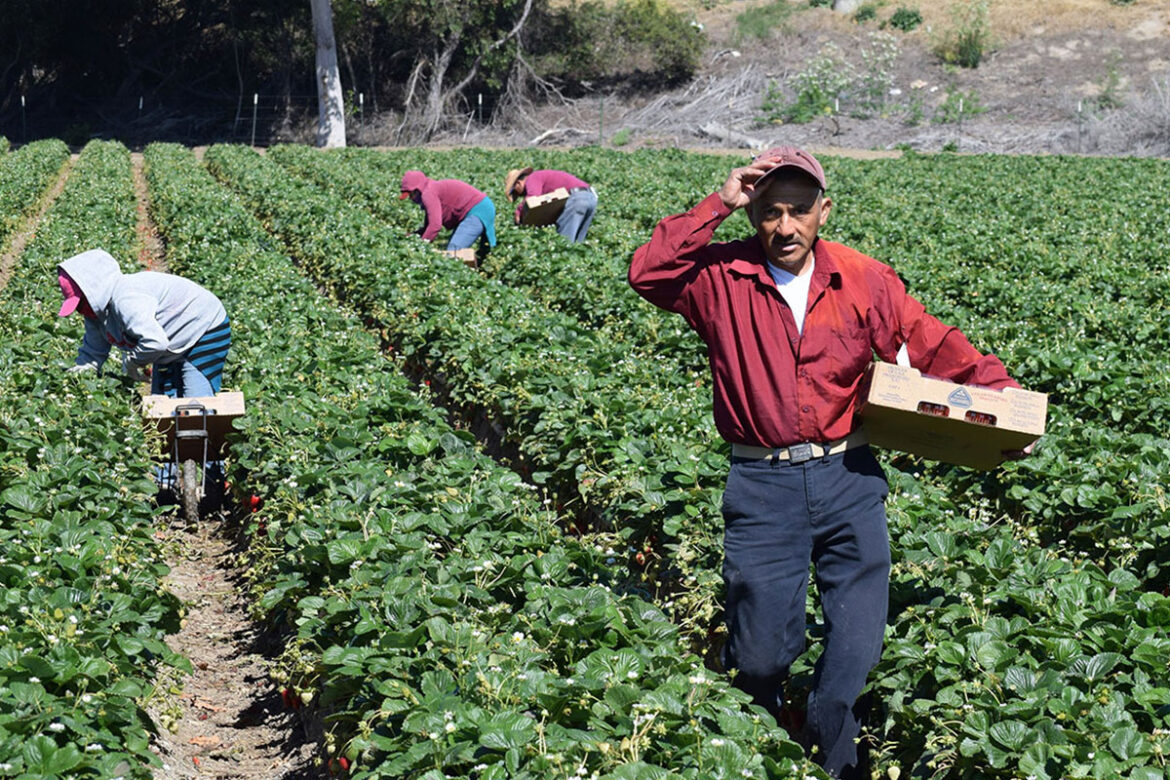 Mexicanos aportan el 8% del PIB de Estados Unidos