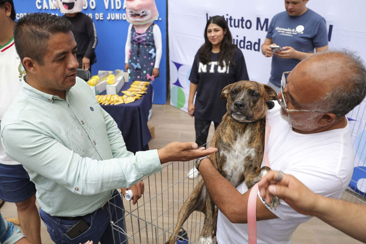 Corregidora inicia jornada de adopción 'Cambiando Vidas'