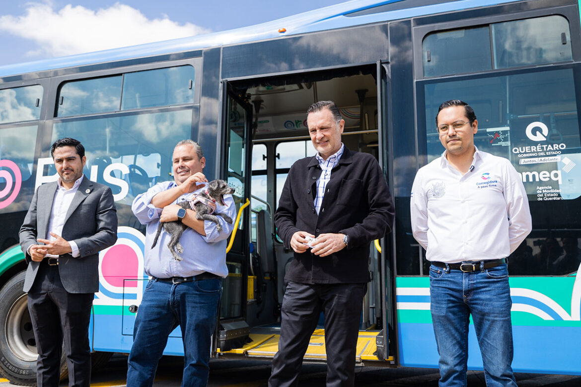 Anuncian Sistema Qrobus Pet Friendly