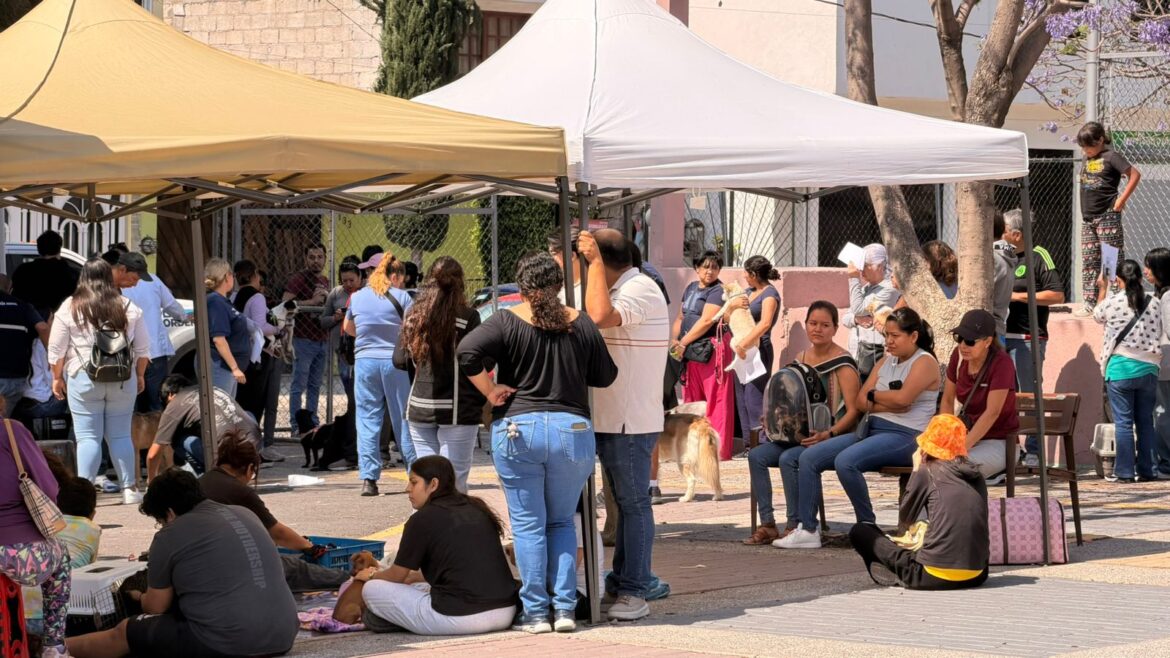Municipio presenta programa metropolitano de identificación para mascotas