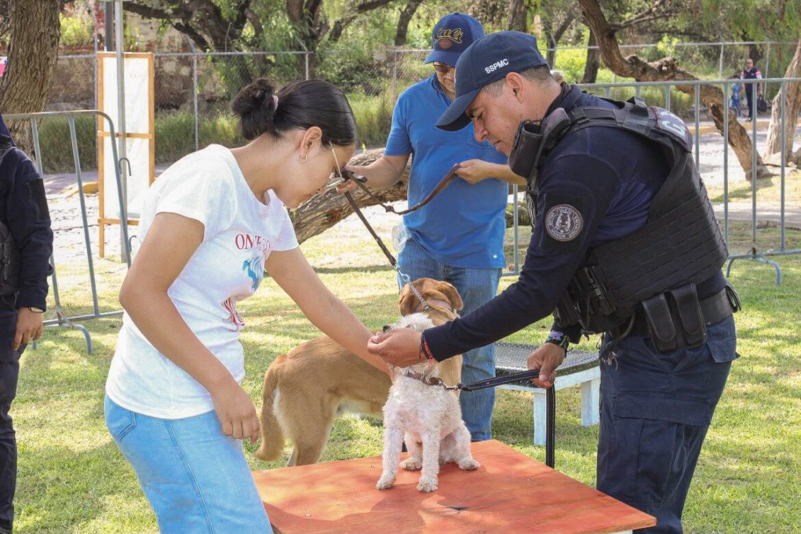 Corregidora acerca policía con perros